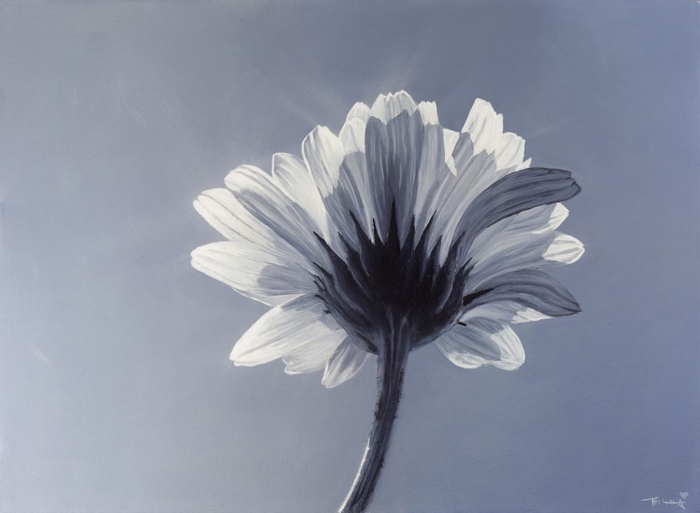 Daisy