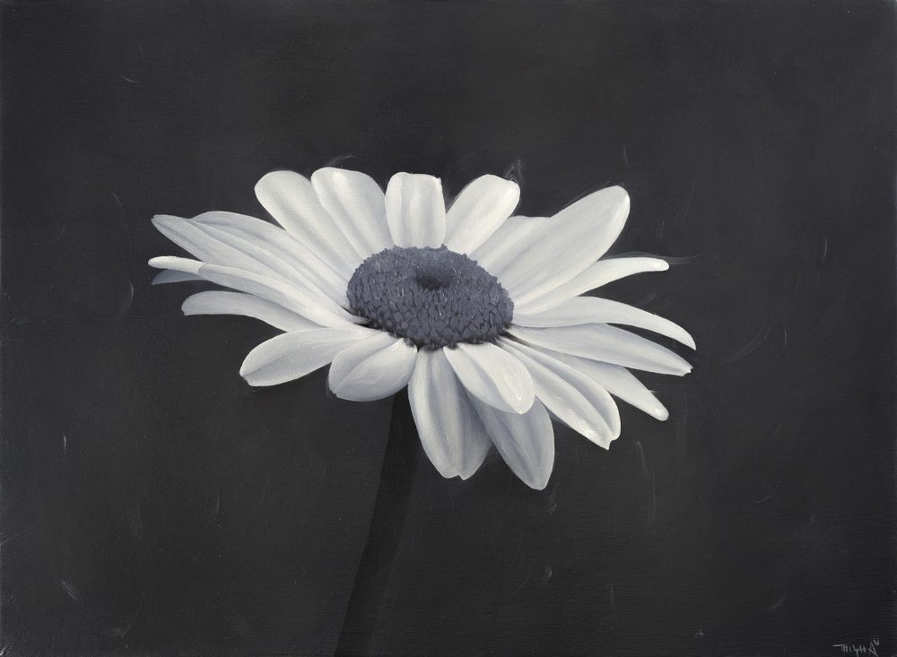 Daisy 2
