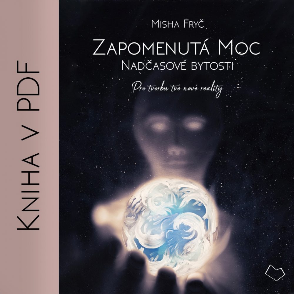 Kniha v PDF
