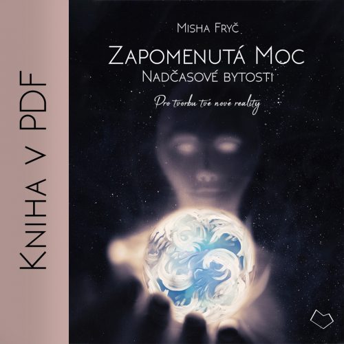 Kniha v PDF